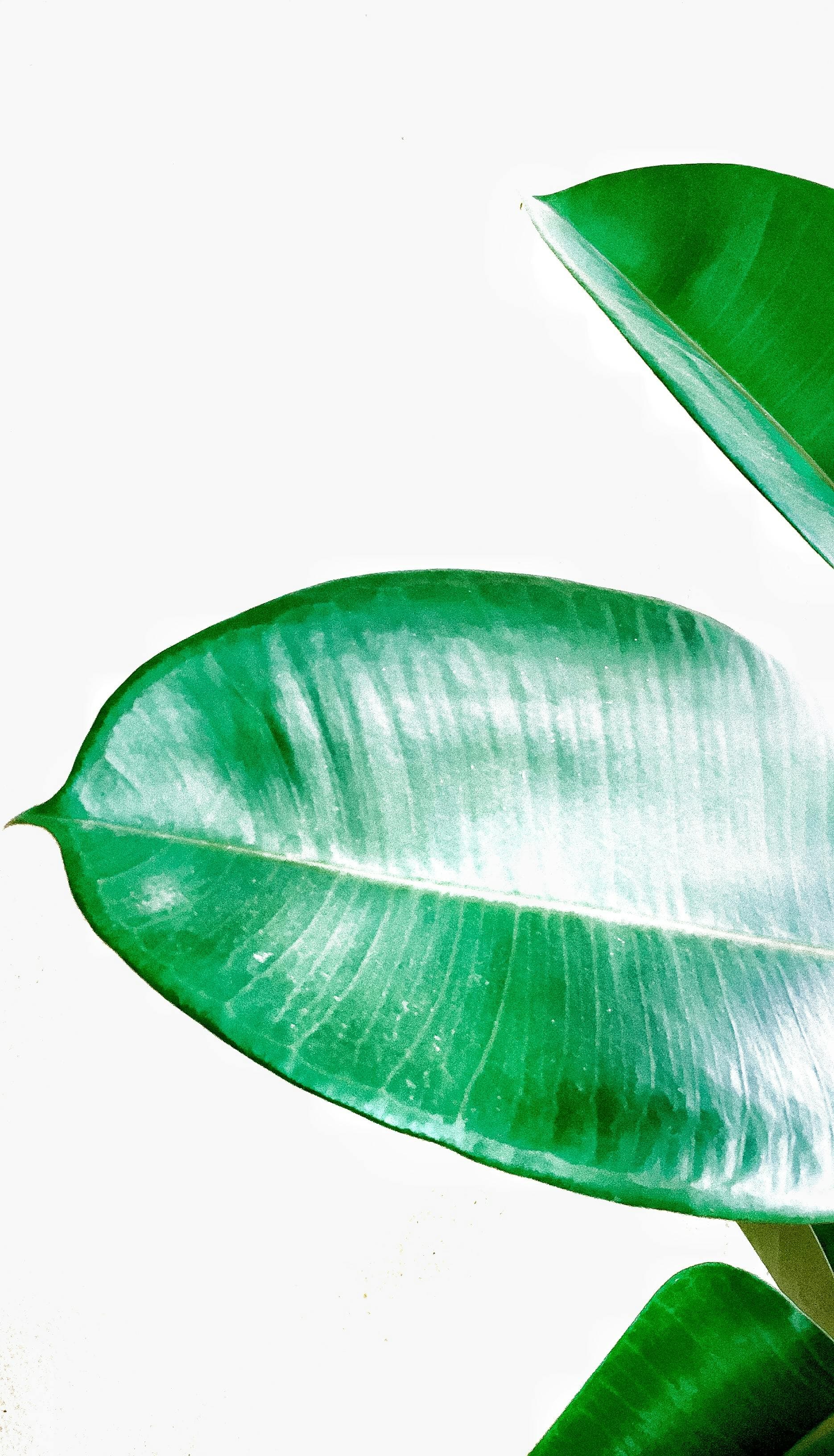 Mixed Martial Arts Training - Image 2