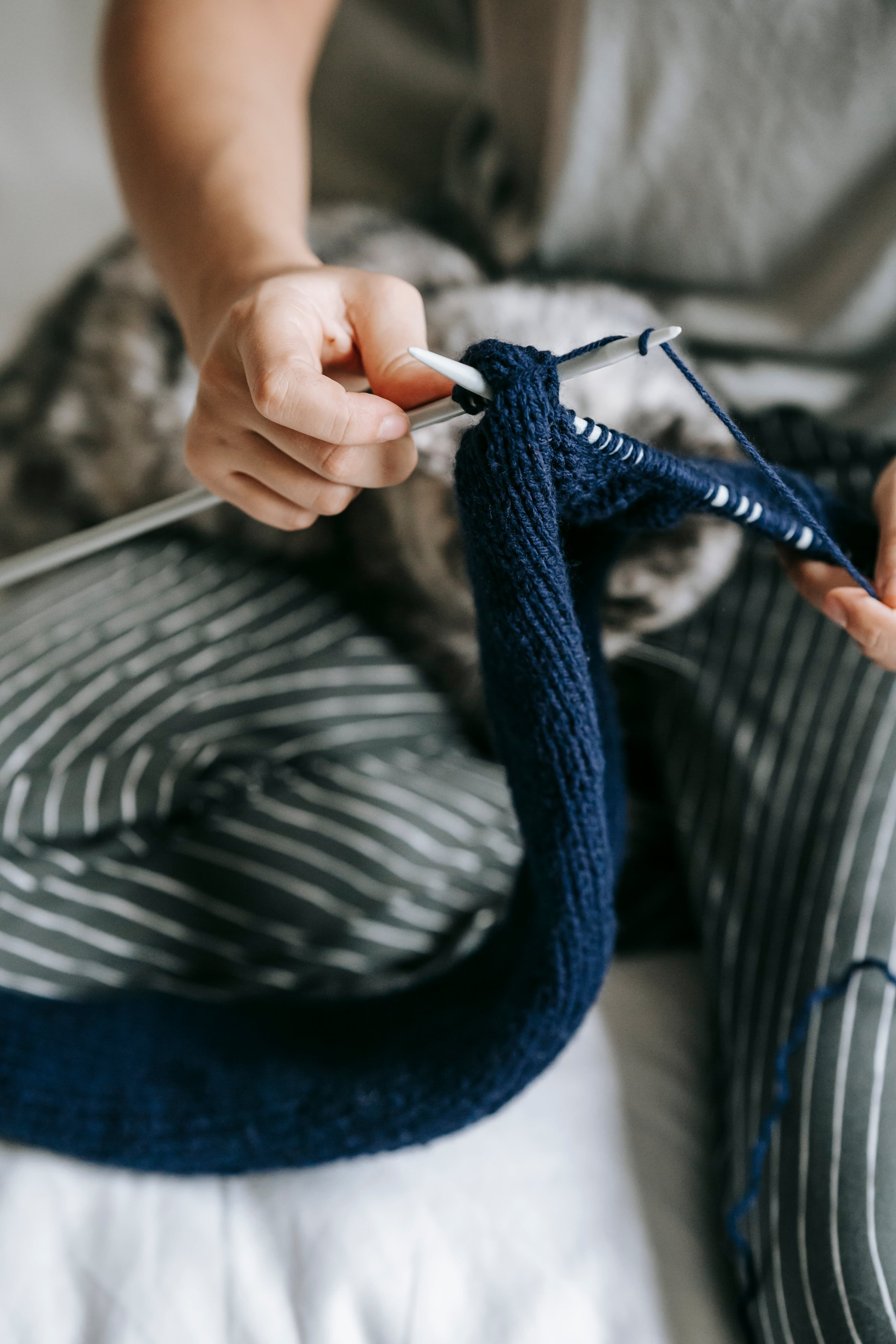 Cat Grooming Services - Image 2