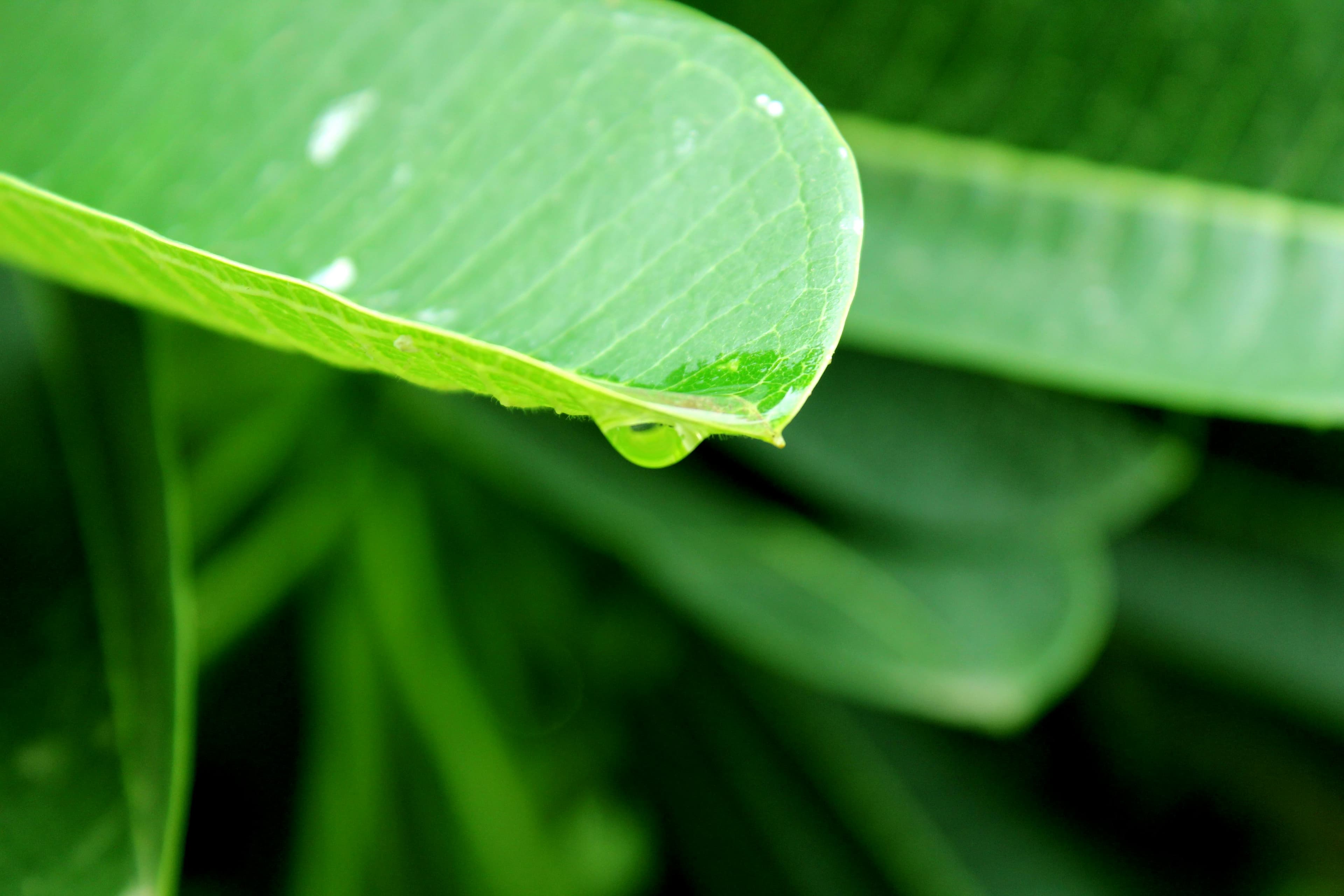 Home Theatre System - Image 2