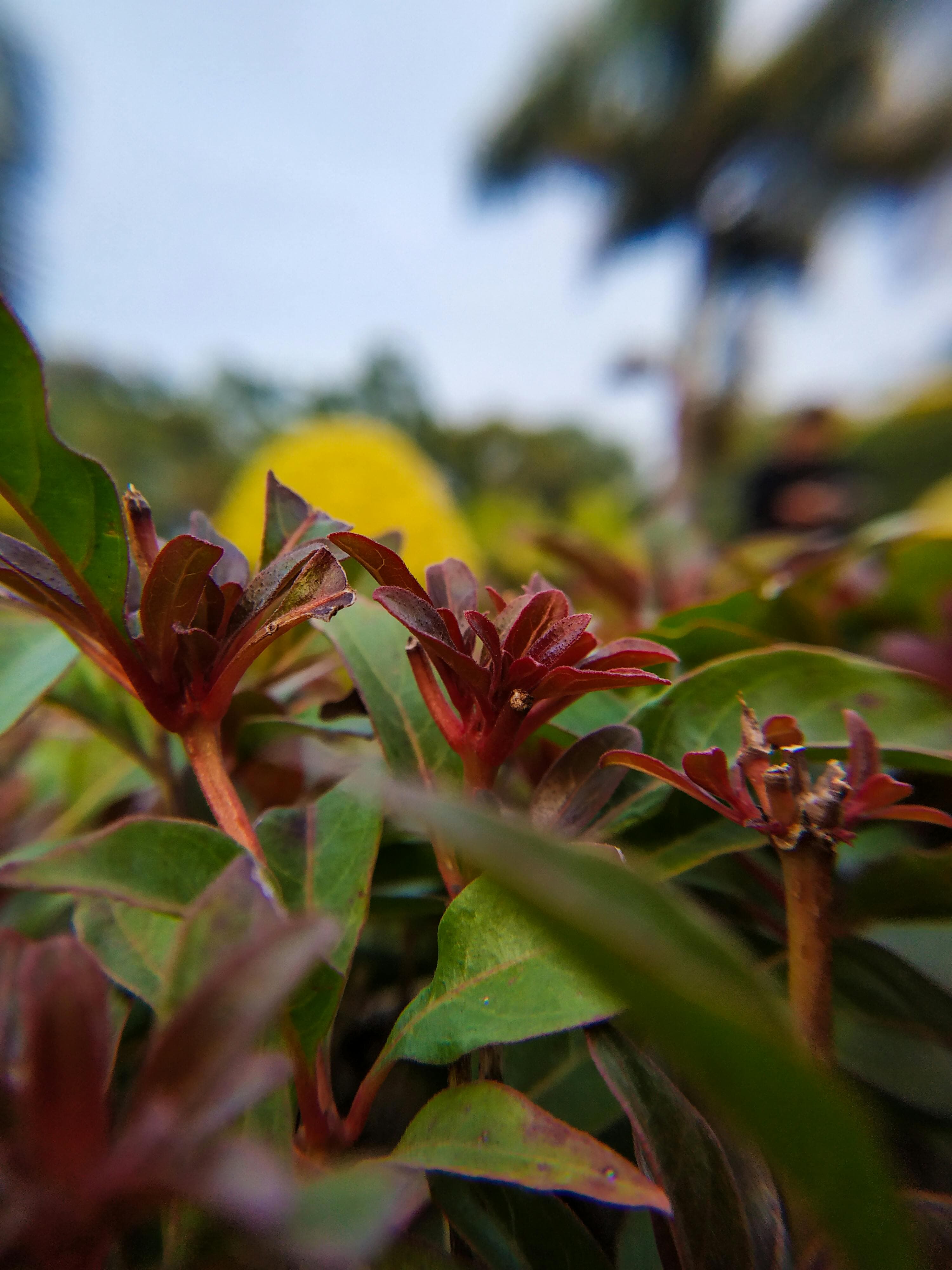 DJ Services - Image 4