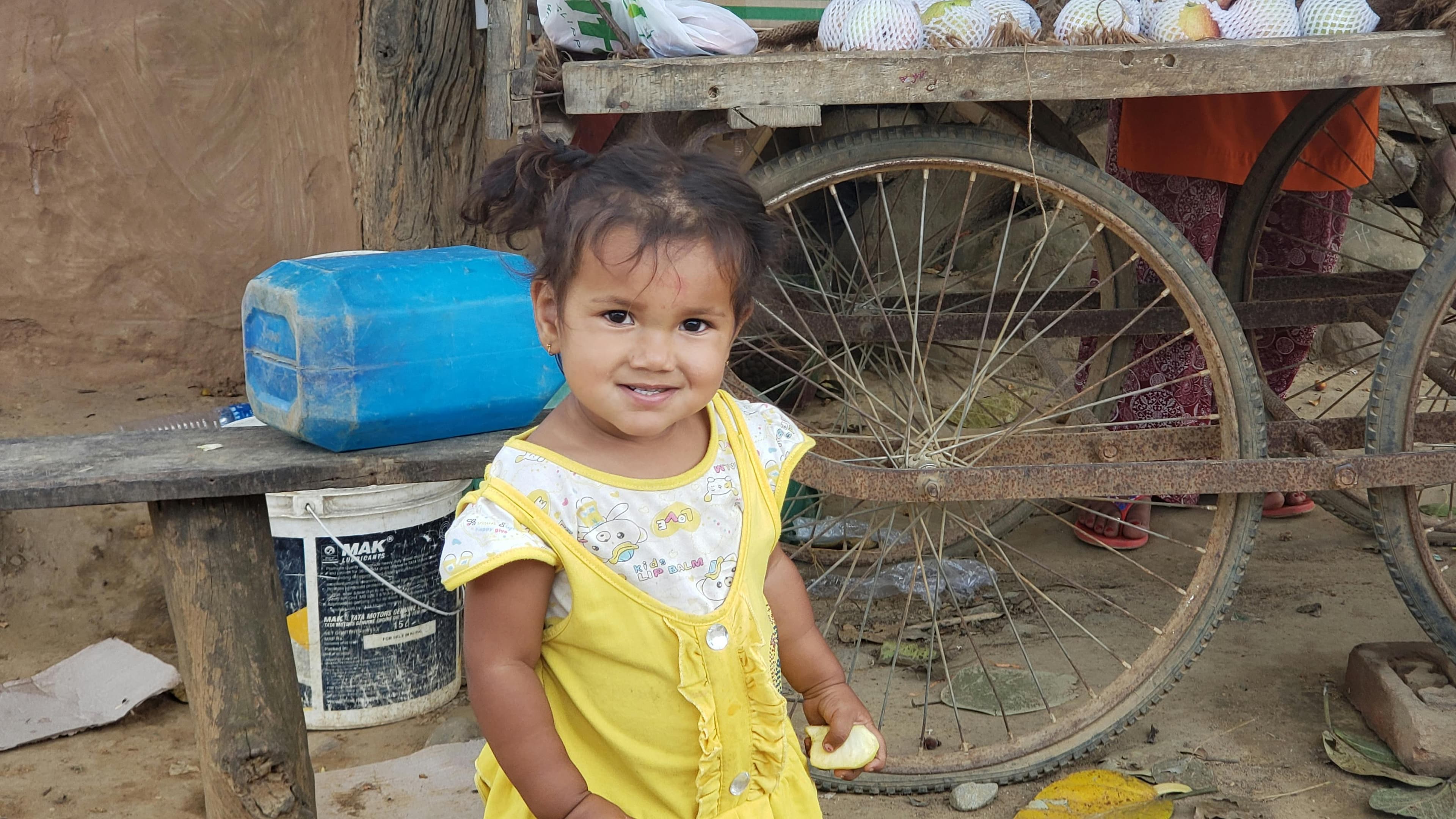 Aquarium Services - Image 4