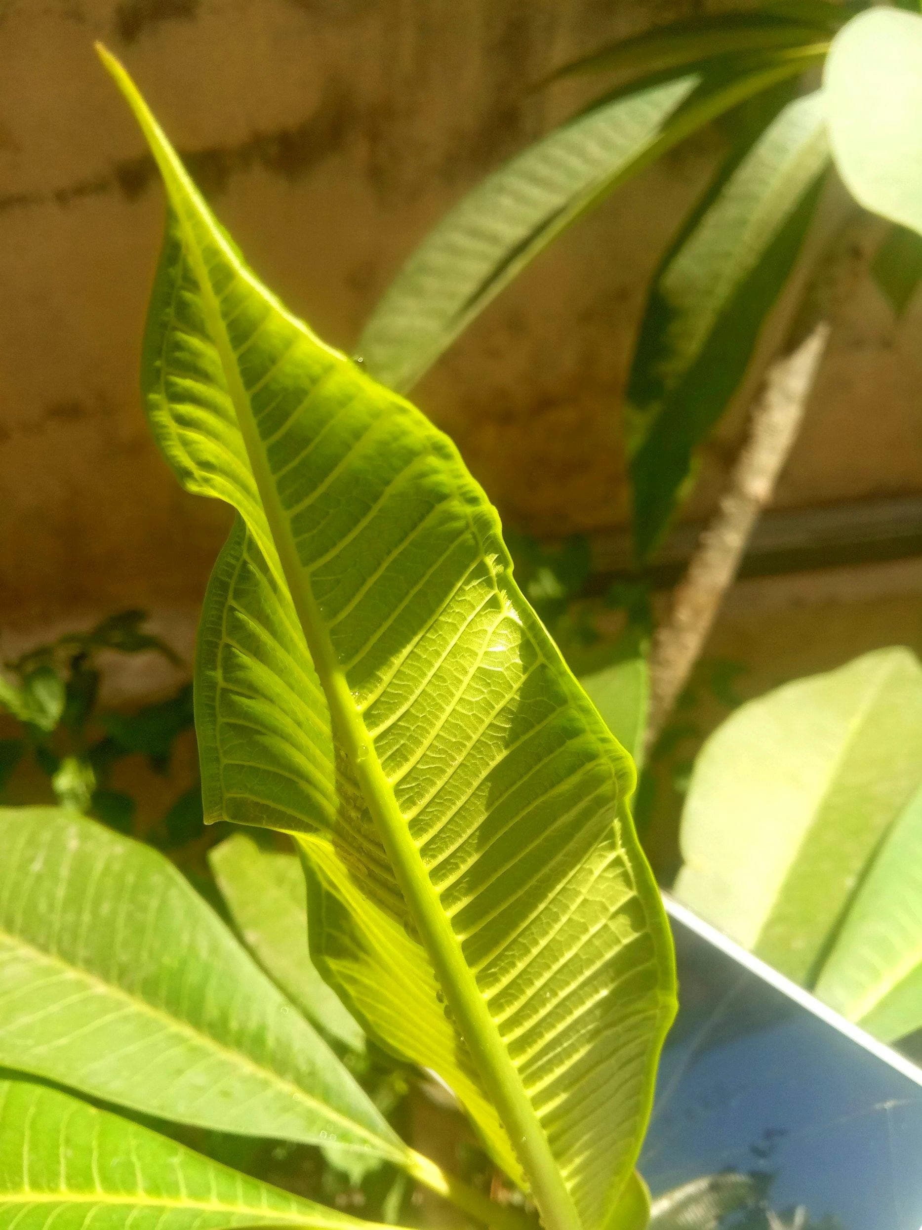 Deep Cleaning Services - Image 2