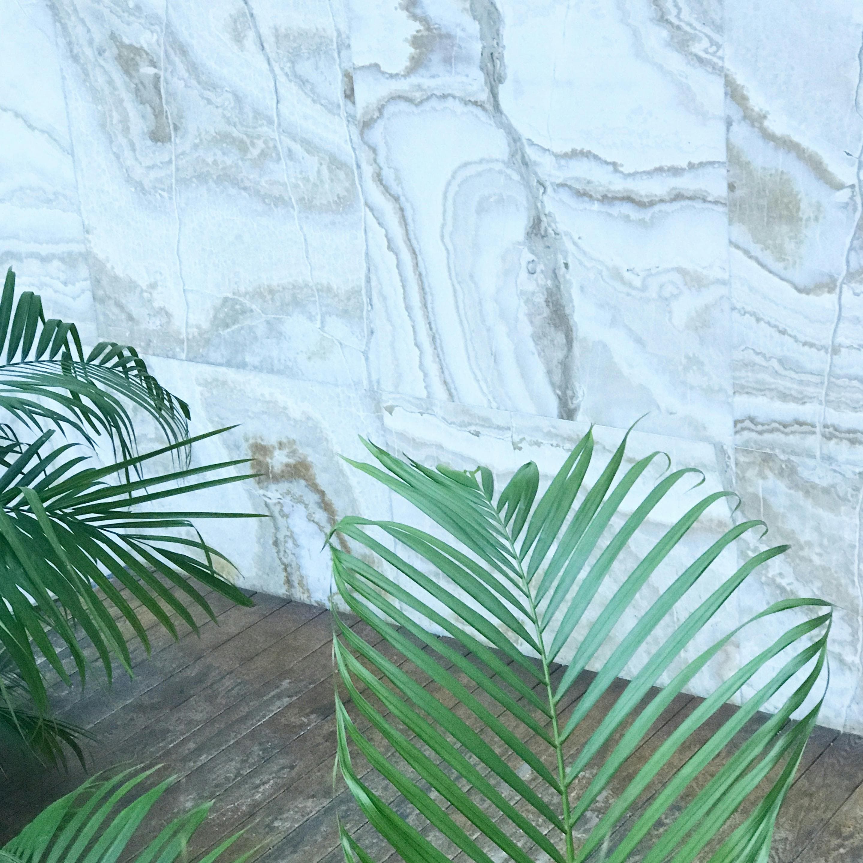 Landscaping - Image 2